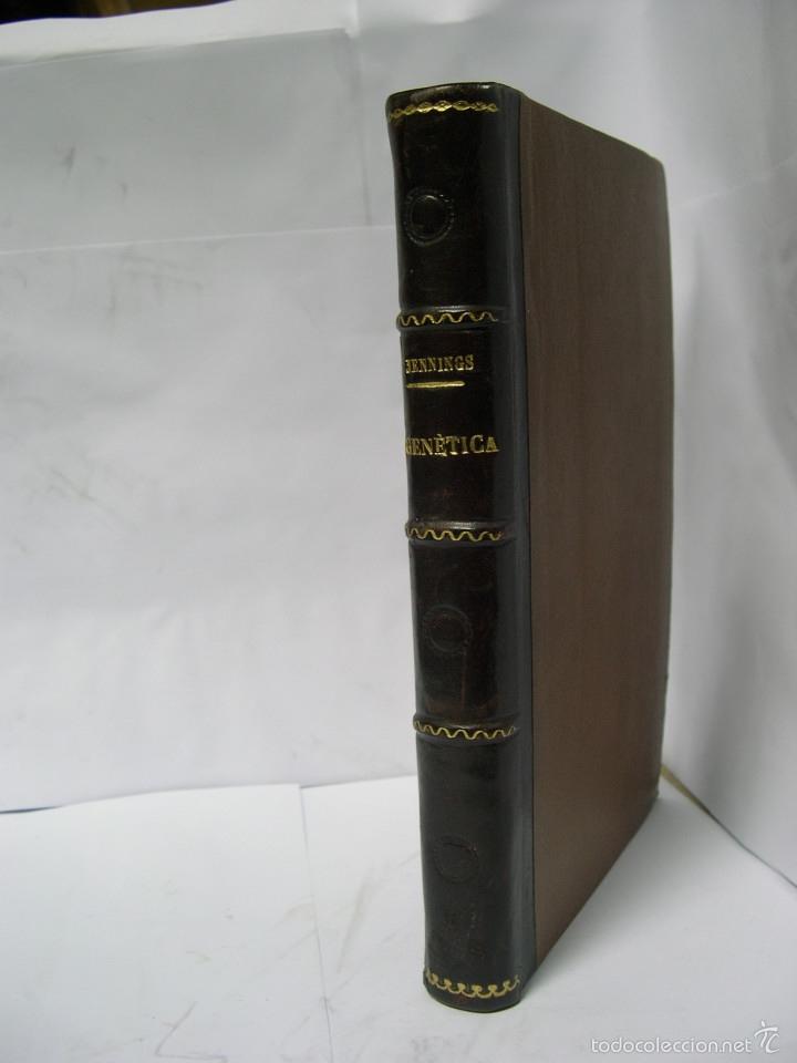 Libros: GENETICA - Jennings, H. S - Foto 1