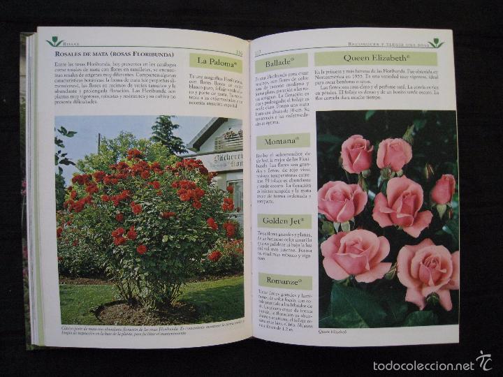 Libros: EL PLACER DE UN HERMOSO JARDIN - EDITORIAL DE VECCHI. - Foto 4