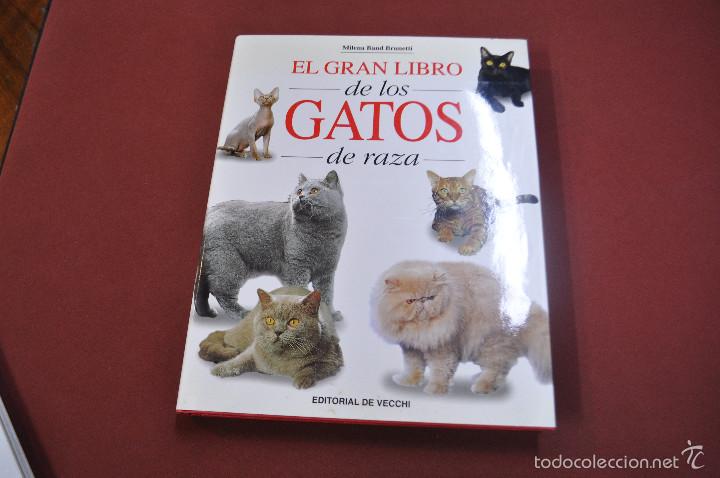 Libros: El gran libro de los gatos de raza - Milena Band Brunetti - editorial de Vecchi - AN1