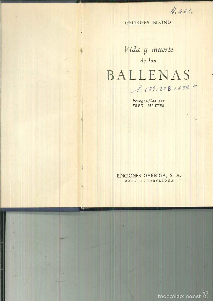 Libros: VIDA Y MUERTE DE LAS BALLENAS. Georges Blond - Foto 1