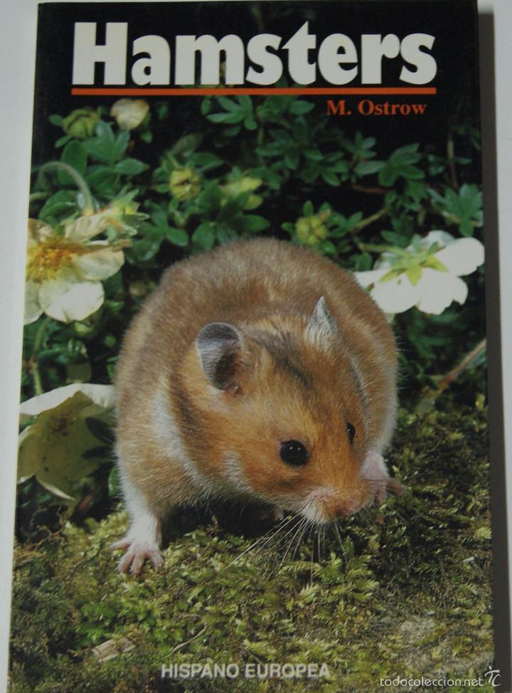 Libros: Hamster / Ostrow, M. - Foto 1