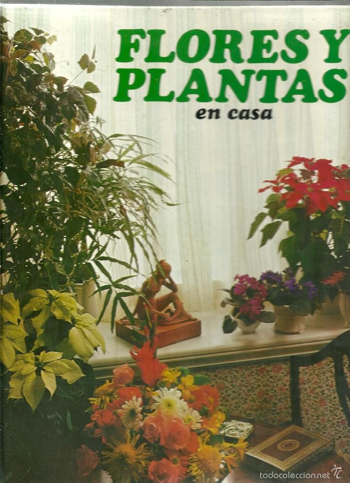 Libros: FLORES Y PLANTAS EN CASA - Foto 1