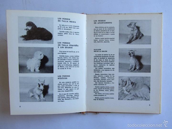 Libros: SU PERRO. ELECCI&Oacute;N CRIANZA Y CUIDADO. N&uacute;mero 10. 1973 - Foto 4