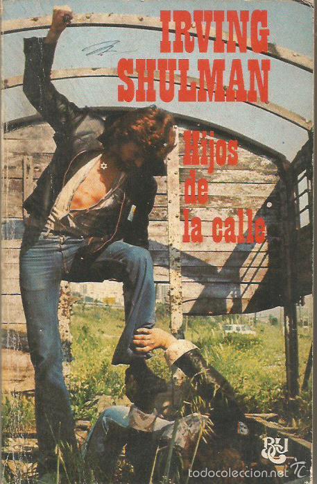 Libros: HIJOS DE LA CALLE - Shulman,Irving - Foto 1