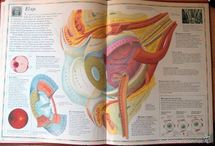 Libros: Atlas Visual: Los Grandes Atlas Visuales - Edici&oacute;n de 1990 - Foto 9