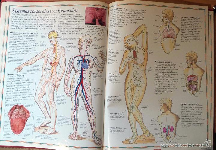 Libros: Atlas Visual: Los Grandes Atlas Visuales - Edici&oacute;n de 1990 - Foto 10