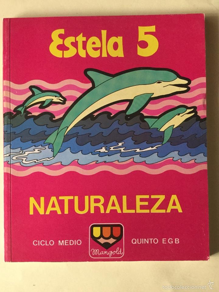 Libros: Naturaleza Estela 5* EGB. Mangold - Foto 1