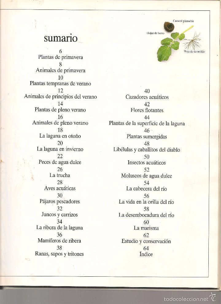 Libros: EL R&Iacute;O Y LA LAGUNA. BIBLIOTECA VISUAL ALTEA. 1989. (Z11) - Foto 3