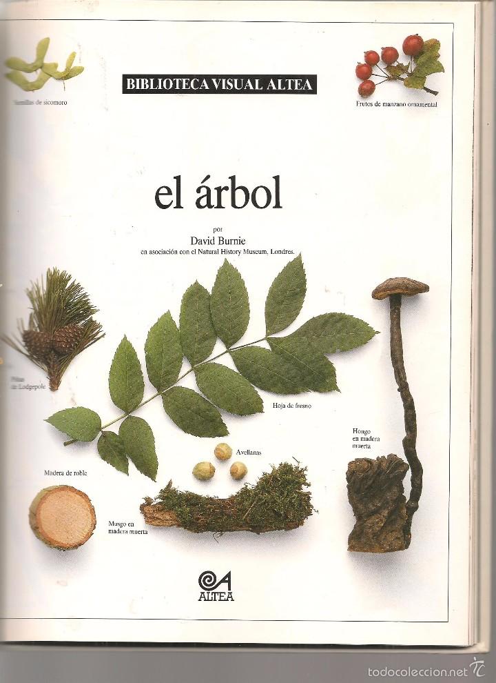 Libros: EL &Aacute;RBOL.  BIBLIOTECA VISUAL ALTEA. 1989. (Z11) - Foto 2