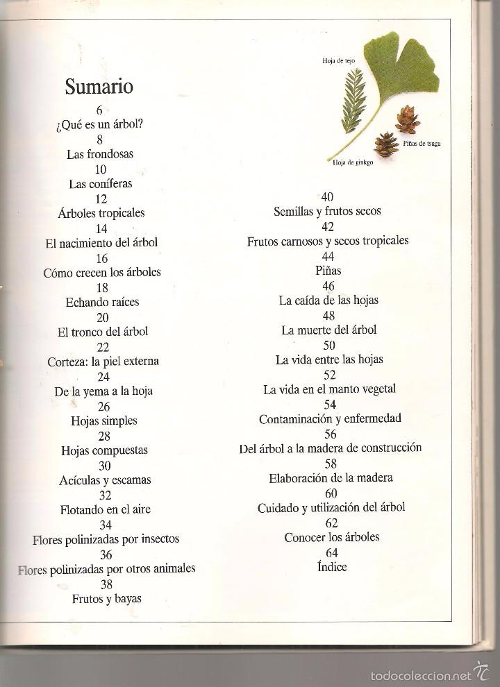 Libros: EL &Aacute;RBOL.  BIBLIOTECA VISUAL ALTEA. 1989. (Z11) - Foto 3
