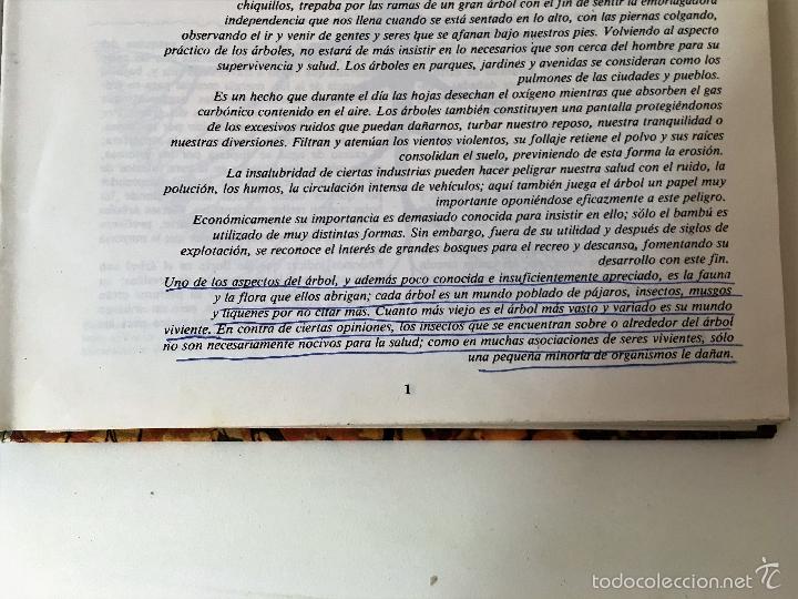Libros: ARBOLES DE ORNAMENTO - Foto 4