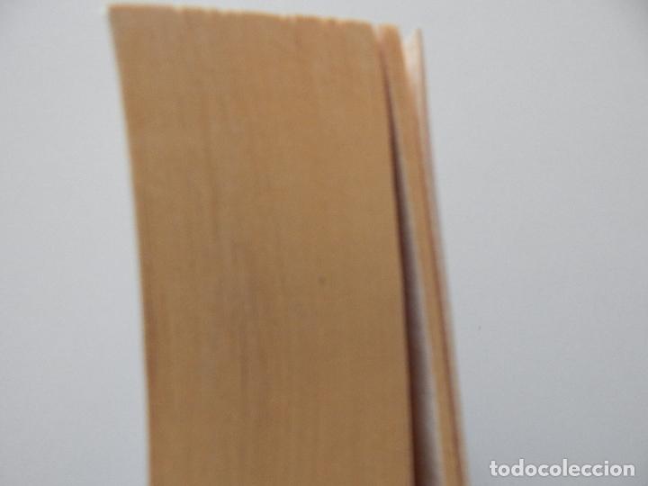 Libros: Sun at Midnight - Rosie Thomas - Foto 8