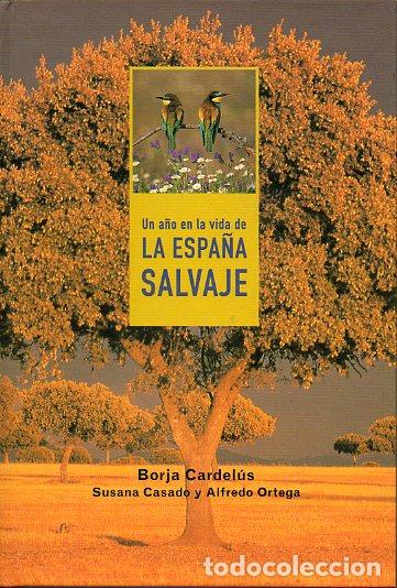 Libros: UN A&Ntilde;O EN LA VIDA DE LA ESPA&Ntilde;A SALVAJE. - Foto 1