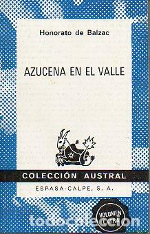 Libros: AZUCENA EN EL VALLE. - Foto 1