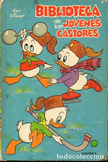 Libros: BIBLIOTECA DE LOS J&Oacute;VENES CASTORES. N&ordm; 6. - Foto 1