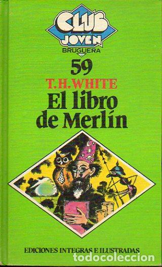 Libros: EL LIBRO DE MERL&Iacute;N. Ilustrs. de Ra&uacute;l Capitani. - Foto 1