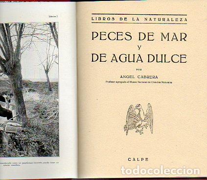 Libros: PECES DE MAR Y DE AGUA DULCE. - Foto 1