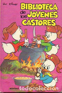 Libros: BIBLIOTECA DE LOS J&Oacute;VENES CASTORES. Vol. 13. - Foto 1