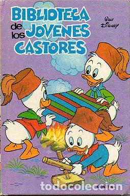Libros: BIBLIOTECA DE LOS J&Oacute;VENES CASTORES. Vol. 12. - Foto 1
