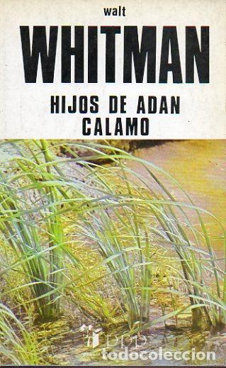 Libros: HIJOS DE AD&Aacute;N / C&Aacute;LAMO. 2&ordf; ed. - Foto 1