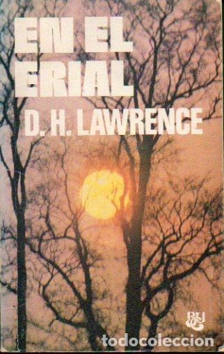 Libros: EN EL ERIAL. - Foto 1