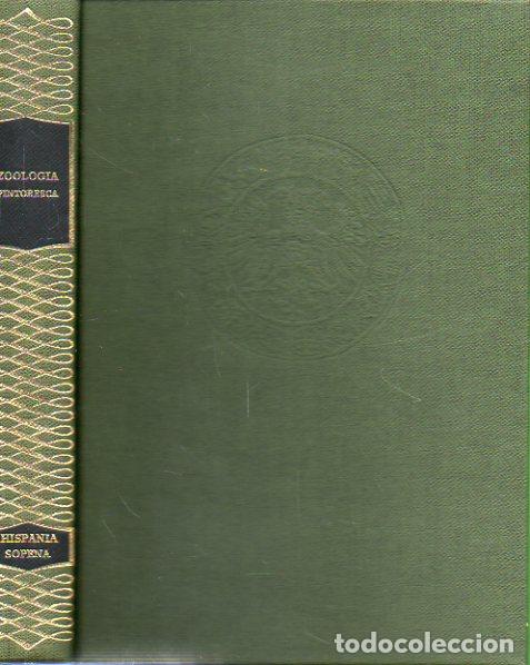 Libros: ZOOLOG&Iacute;A PINTORESCA. - Foto 1