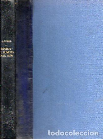 Libros: G&Eacute;NESIS DEL N&Uacute;MERO EN EL NI&Ntilde;O. - Foto 1