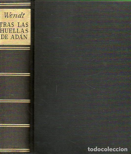 Libros: TRAS LAS HUELLAS DE AD&Aacute;N. La novela del origen del hombre. - Foto 1