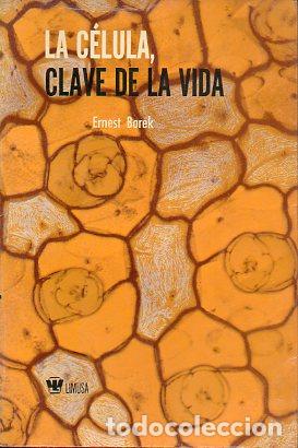 Libros: LA C&Eacute;LULA, CLAVE DE LA VIDA. - Foto 1