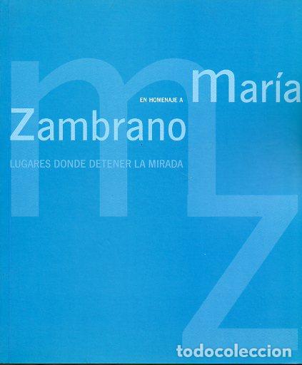 Libros: LUGARES DONDE DETENER LA MIRADA. EN HOMENAJE A MAR&Iacute;A ZAMBRANO. Pinturas de Gustavo Acosta, Paco Aria