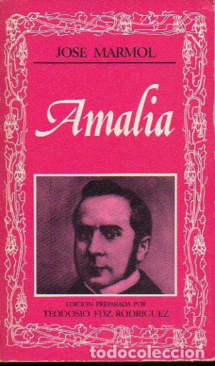 Libros: AMALIA. Edici&oacute;n de Teodosio Fern&aacute;ndez Rodr&iacute;guez. - Foto 1
