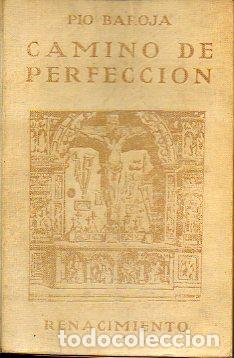 CAMINO DE PERFECCI&Oacute;N (PASI&Oacute;N M&Iacute;STICA). Novela.