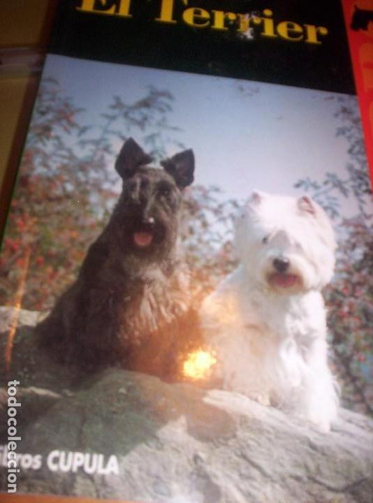 Libros: EL TERRIER - WIEBKE STEEN - LIBROS CUPULA - 1994 - Foto 1