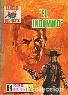 Libros: EL IND&Oacute;MITO. - Foto 1