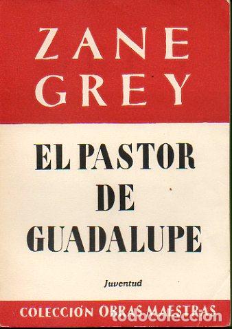 Libros: EL PASTOR DE GUADALUPE. 6&ordf; ed. - Foto 1