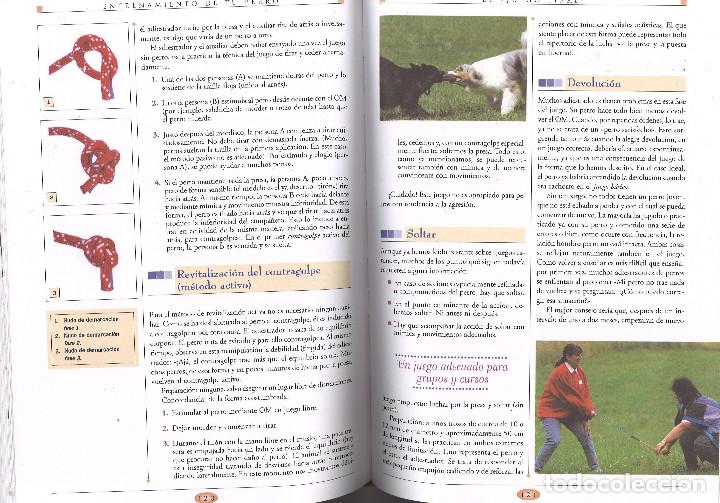 Libros: Gran libro del entrenamiento de tu perro. Servilibro - Foto 3