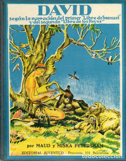 Libros: DAVID. Seg&uacute;n la narraci&oacute;n del Primer Libro de Samuel y del segundo Libro de los Reyes. - Foto 1