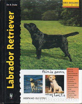 Libros: LABRADOR RETRIEVER. - Foto 1