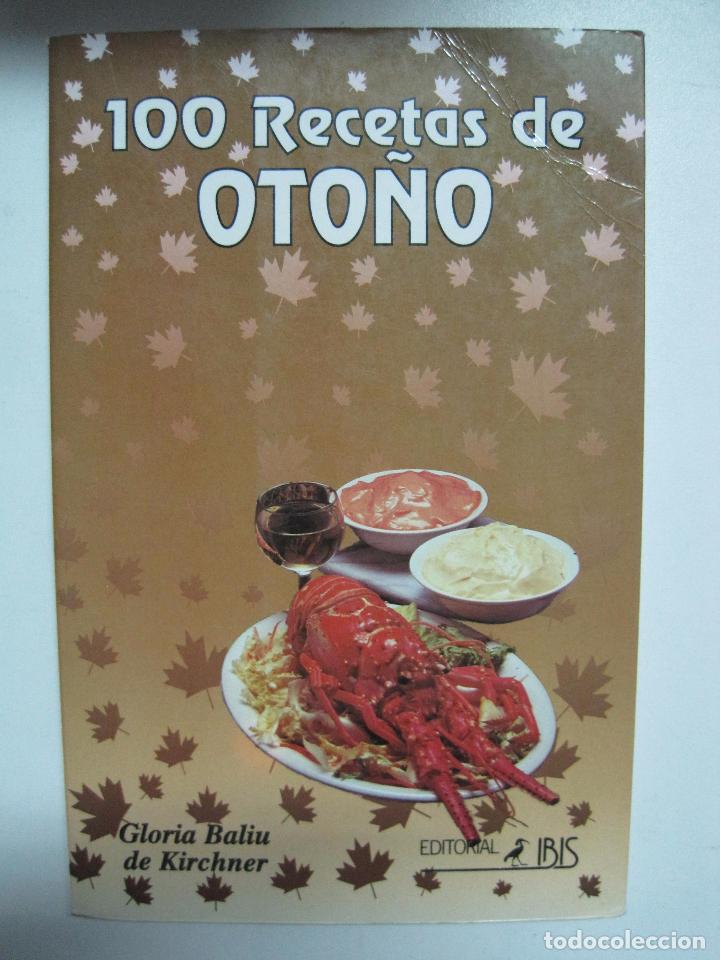 Libros: 100 RECETAS DE OTO&Ntilde;O / Gl&ograve;ria Baliu de Kirchner - Foto 1