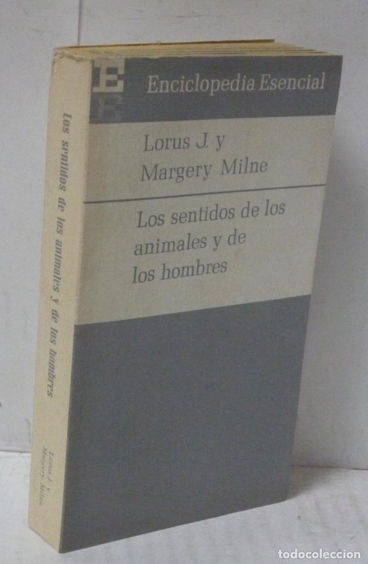 B&uuml;cher: LOS SENTIDOS DE LOS ANIMALES Y DE LOS HOMBRES - Lorus J. y Margery Milne