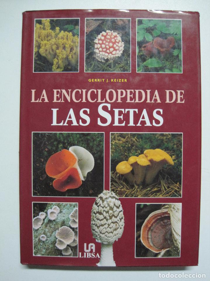 Libros: La enciclopedia de las setas / Keizer, Gerrit J. - Foto 1