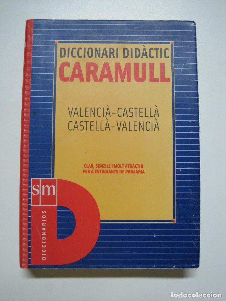 Libros: Diccionari Did&agrave;ctic Valenci&agrave;-Castell&agrave;  / Ediciones SM - Foto 1