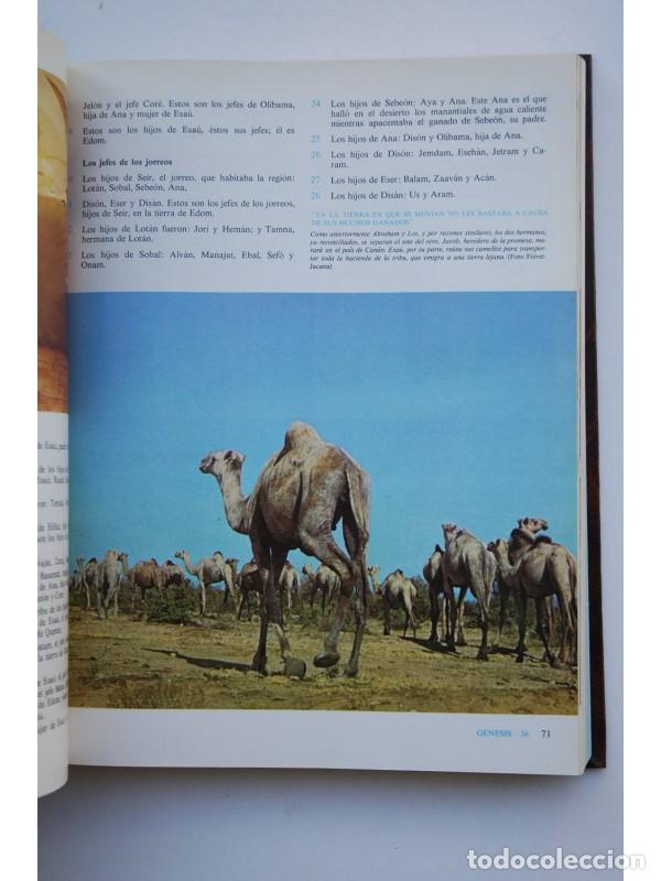 Libros: LA SANTA Biblia - Foto 6