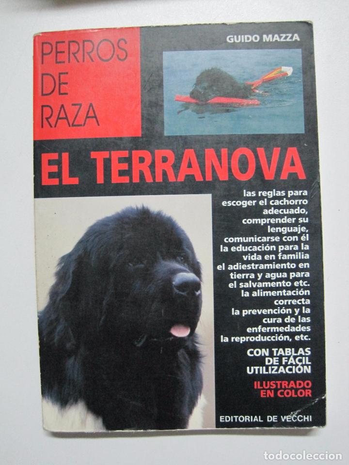 Libros: El Terranova / Mazza, Guido - Foto 1