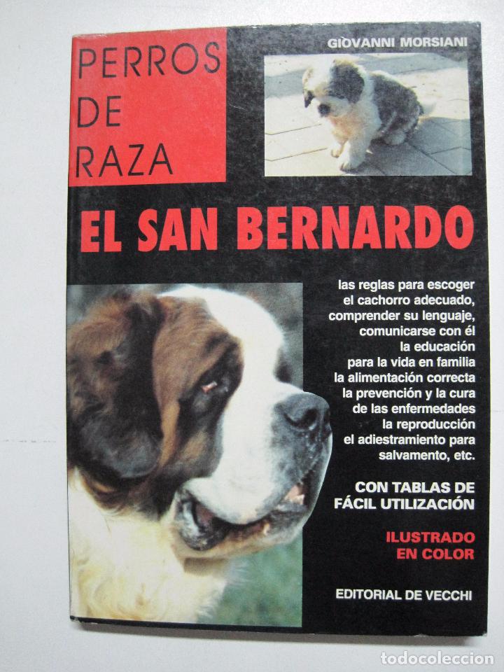 Libros: El San Bernardo / Morsiani, Giovanni - Foto 1
