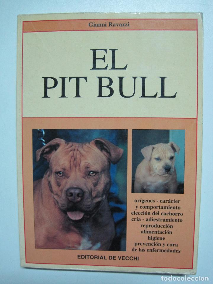 Libros: El Pit Bull / Ravazzi, Gianni - Foto 1
