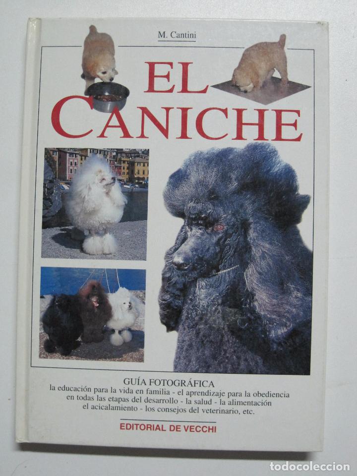 Libros: El Caniche / Micaela Cantini - Foto 1