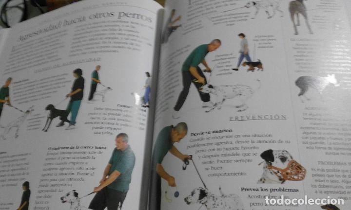 Libros: El perro. Manual de adiestramiento - Dr. Bruce Fogle - Foto 3