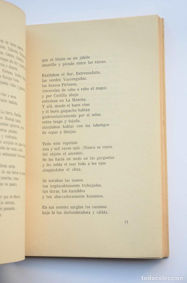 Libros: Raz&oacute;n de lo cotidiano - S&Aacute;NCHEZ BAUTISTA, Francisco - Foto 3