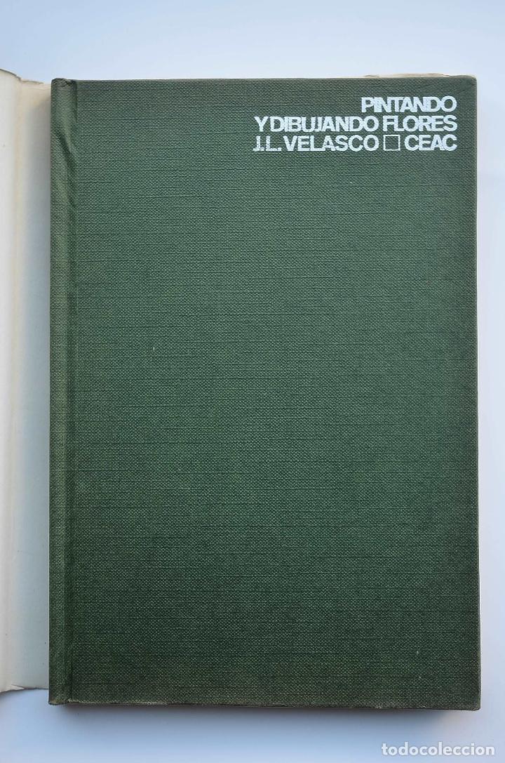 Libros: Pintando y dibujando flores - VELASCO, Jos&eacute; Luis - Foto 2